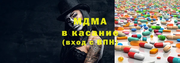 прущие грибы Переславль-Залесский