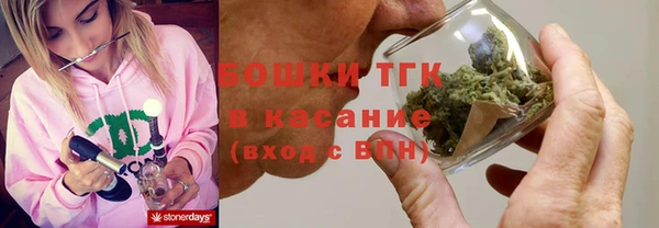 прущие грибы Переславль-Залесский
