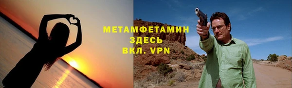 прущие грибы Переславль-Залесский